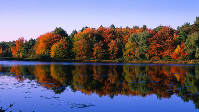Walden Pond State Reservation