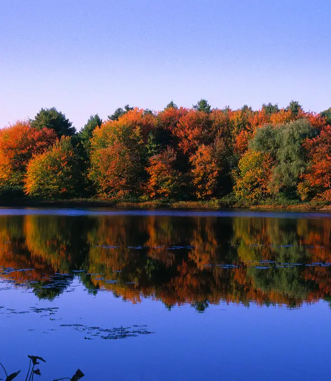 Concord
