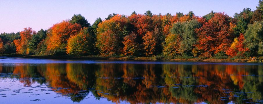 คองคอร์ด