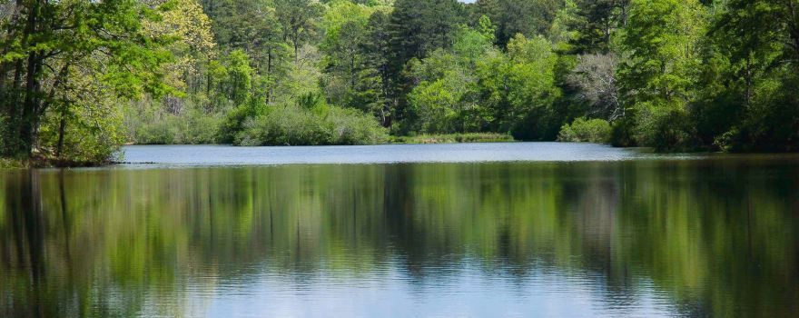 Hard Labor Creek State Park
