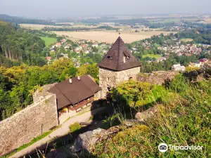 Castle Potštejn