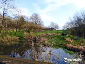 Naturwildpark Freisen