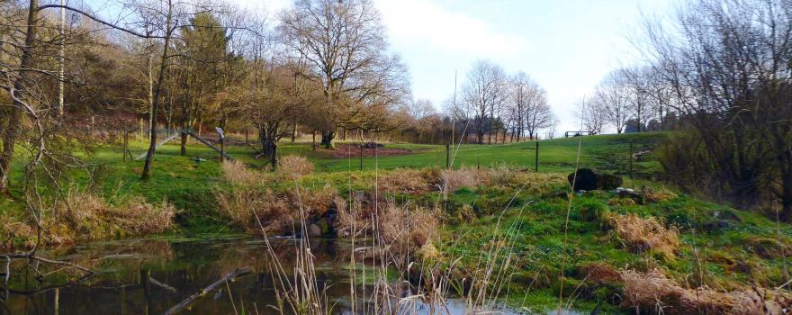 Naturwildpark Freisen