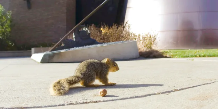 克利夫蘭自然歷史博物館