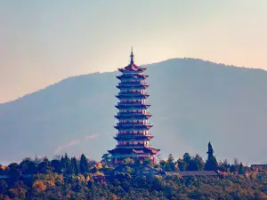 China's First Fota