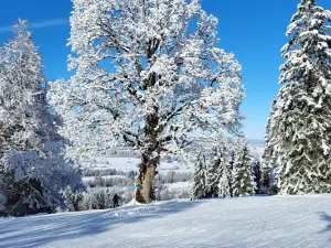 Téléski les Breuleux