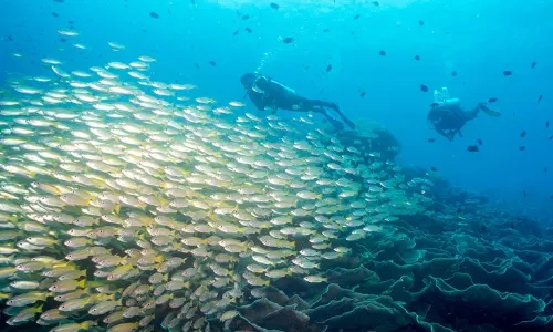 Scuba Diving in El Nido