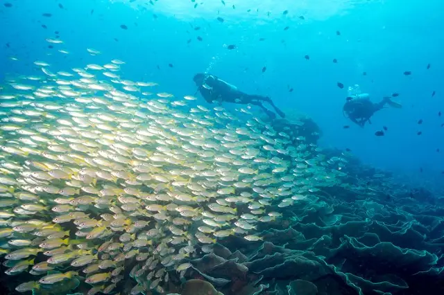 Scuba Diving in El Nido
