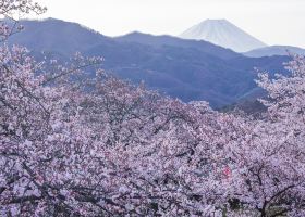 山梨旅行 2泊3日 おすすめプラン