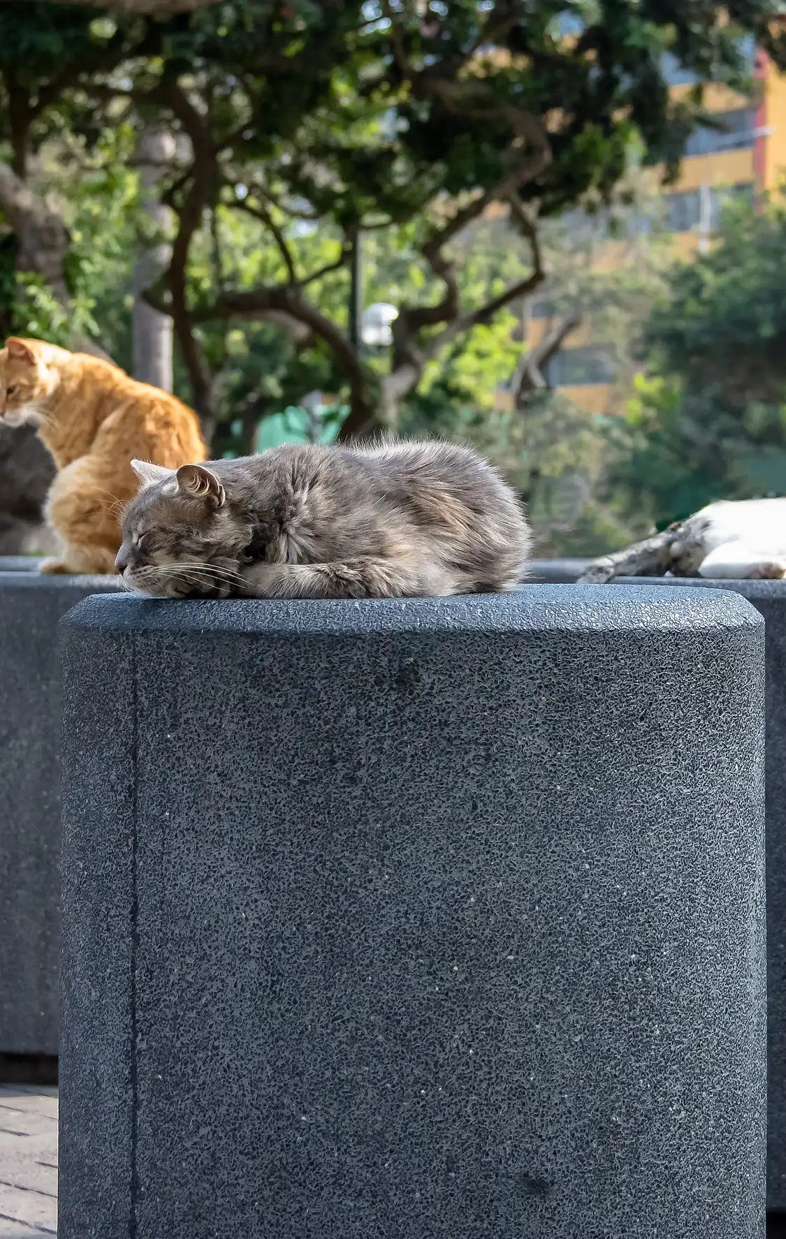 Hoteles cerca de Parque John F. Kennedy