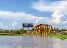 新青國家濕地公園