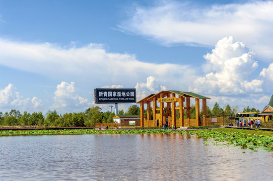 Xinqing National Wetland Park