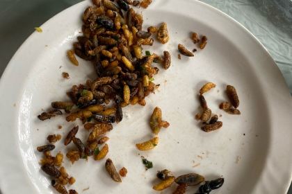 Tong lings han zhuang