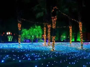 Popular Night Attractions in Huanggang