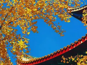 開福寺