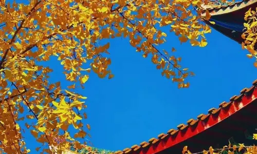 Ancient Kaifu Temple