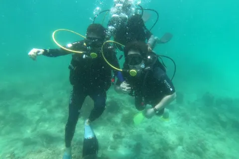 Excel Dive