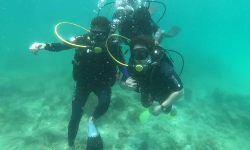 Excel Dive