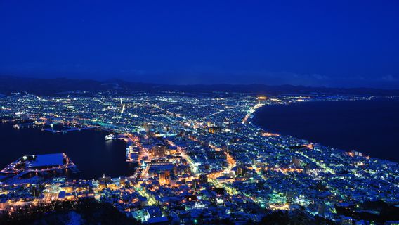 Mount Hakodate