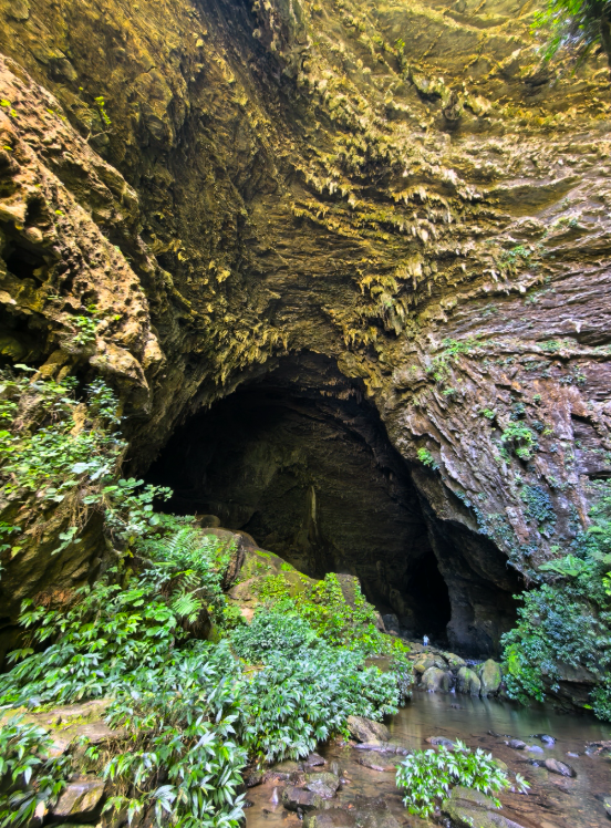 ma shan nei gan dong