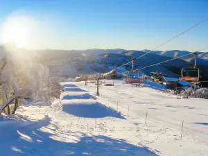 불러 산