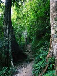 Tallest and best waterfall in Chiang Rai