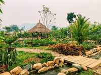 Back to nature