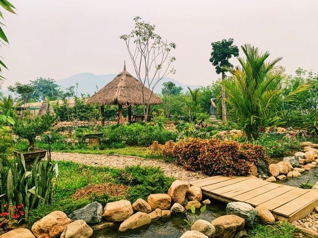 Back to nature