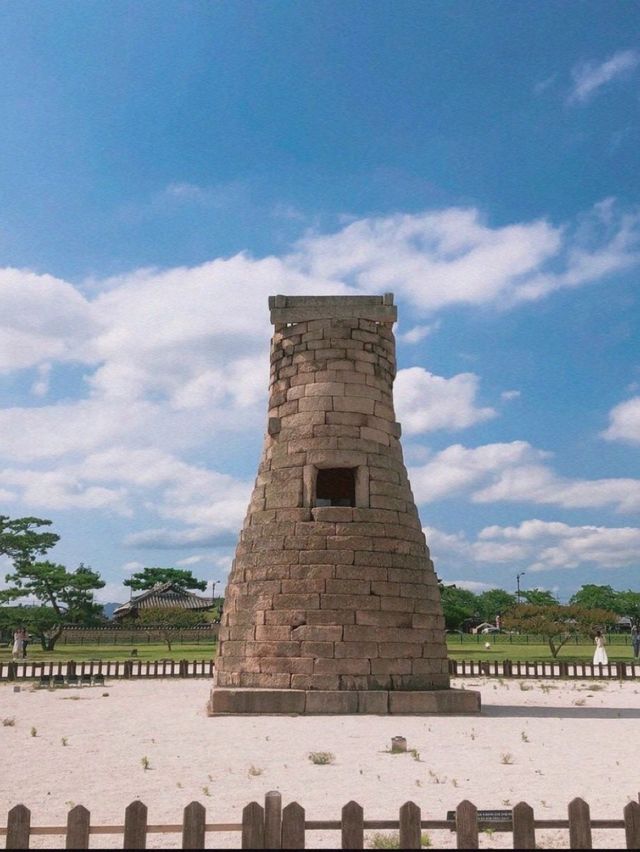 경주여행으로 수학여행 추억팔이