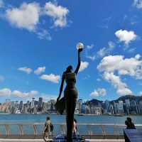 又高又大的玫瑰花種在尖東海旁K11門囗