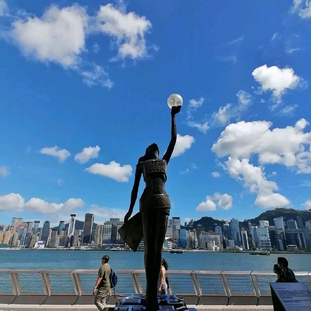 又高又大的玫瑰花種在尖東海旁K11門囗