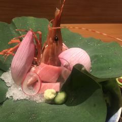 HORITA User Photo