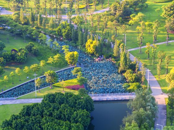 佛山植物園