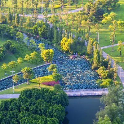 Отели в районе Центр Шунде