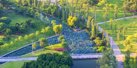 佛山植物園