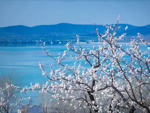 徐州呂梁風景區