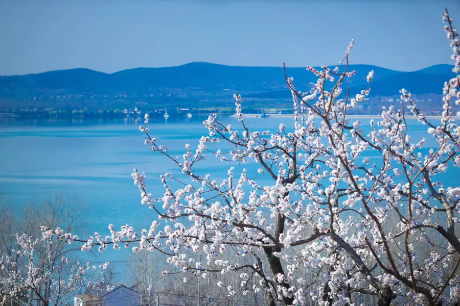 Xuzhou Lvliangshan Scenic Area Management Office