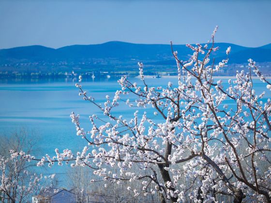 Xuzhou Lvliangshan Scenic Area Management Office