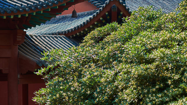 Huangmei Sizu Temple