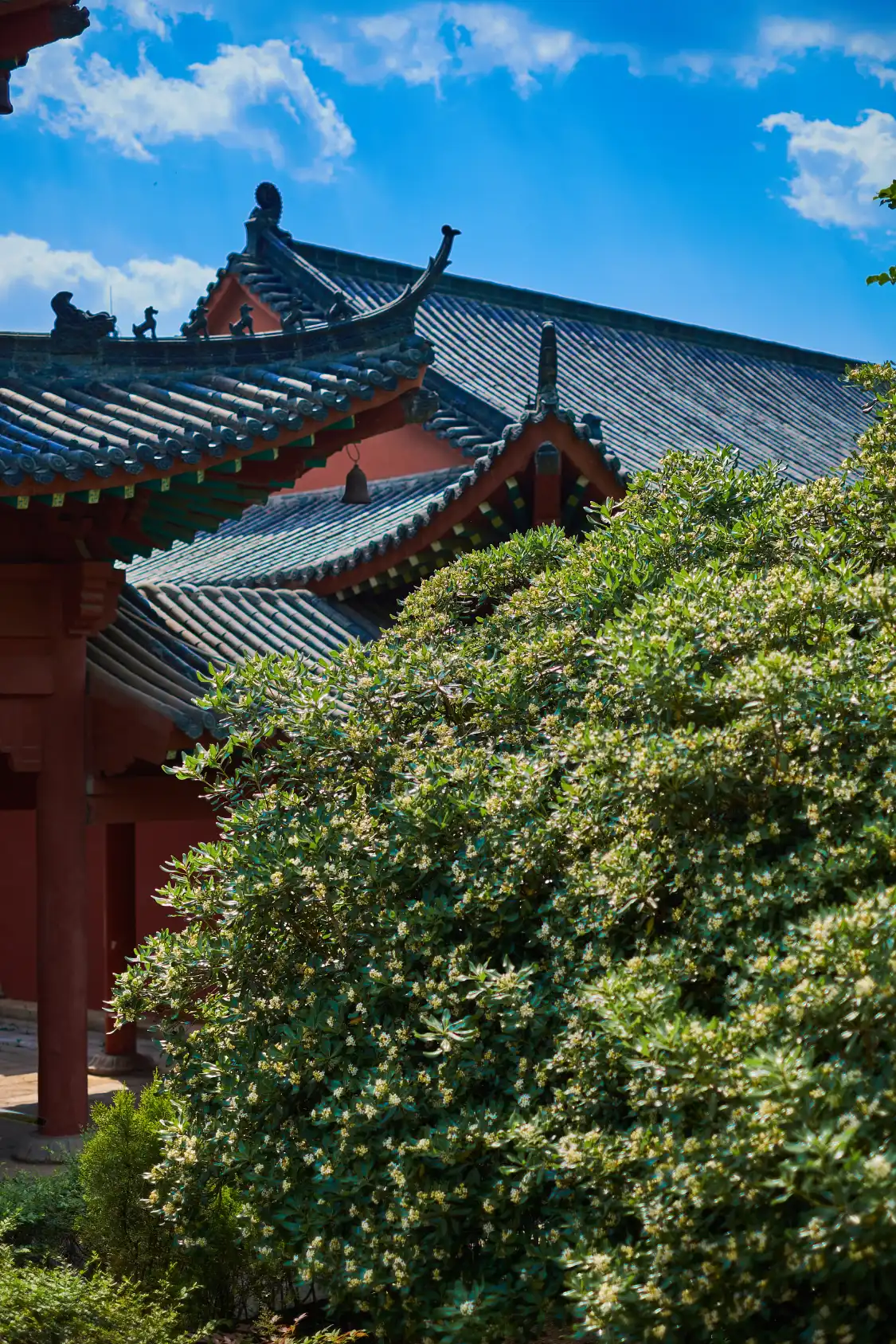 Hotels near Huangmei Sizu Temple