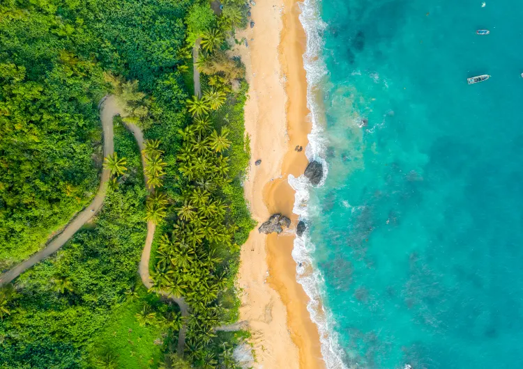 【萬寧美食】2025萬寧美食餐廳盤點！附當地景點推薦
