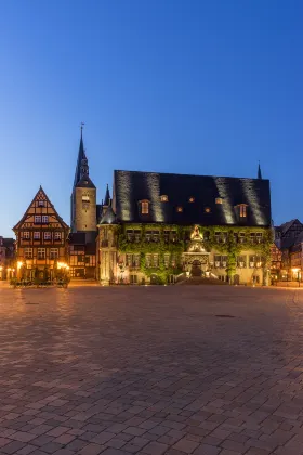 Haustierfreundliche-Hotels in Shanzu