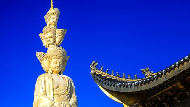 峨眉山金頂一日遊【8人內小團含門票索道景區導遊可選加樂山】