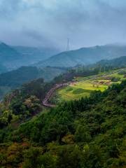 Longquan Forest Park