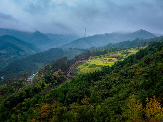 Longquan Forest Park