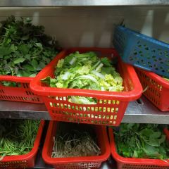 屯昌县枫木镇枫木香草鸭店 User Photo