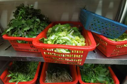 屯昌县枫木镇枫木香草鸭店