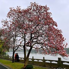 杭州西湖国宾馆·西湖第一名园·宽馀茶庄 User Photo