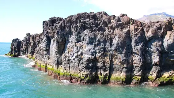 日本東伊豆+南伊豆+西伊豆+大室山【伊豆訂製行程丨可定多日】