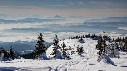 Mount Seymour Provincial Park